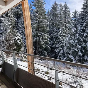 1700 Pour 4 Personnes - Au Calme - Avec Wifi Chamrousse
